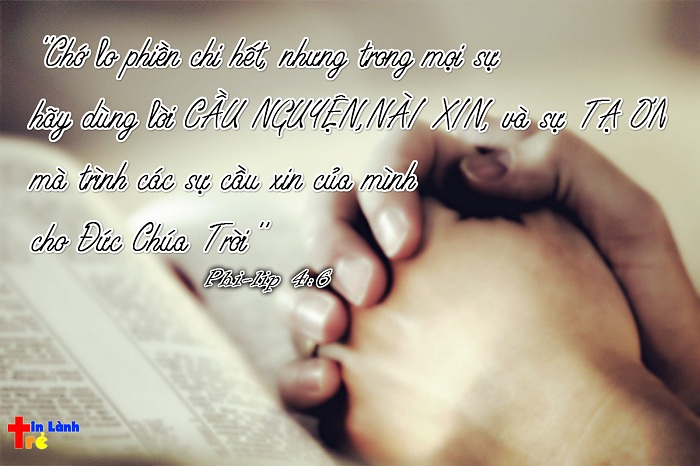 Các Hội thánh Báp-tít tỉnh Quãng Ngãi trước cơ hội phát triển lên tầm cao mới